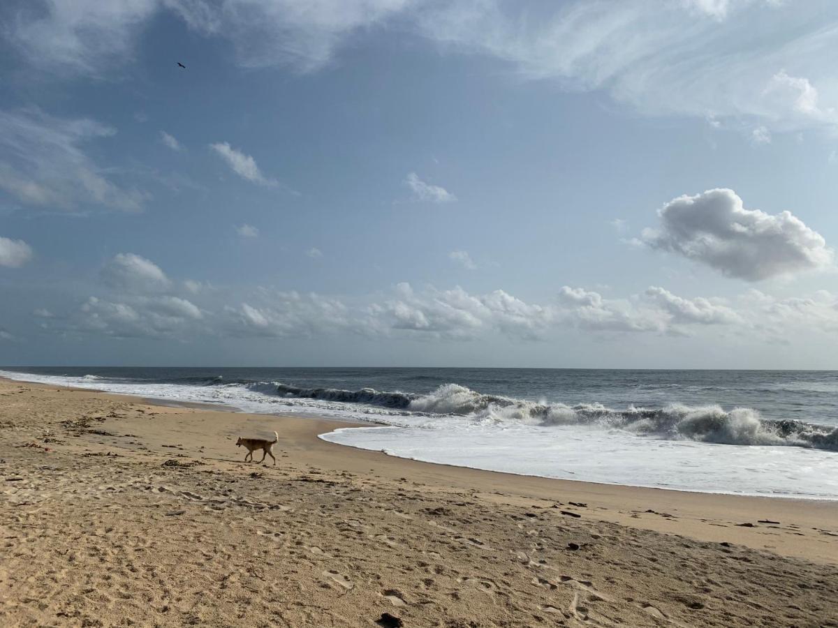 Peacock Villa Marari Beach Mararikulam Bagian luar foto